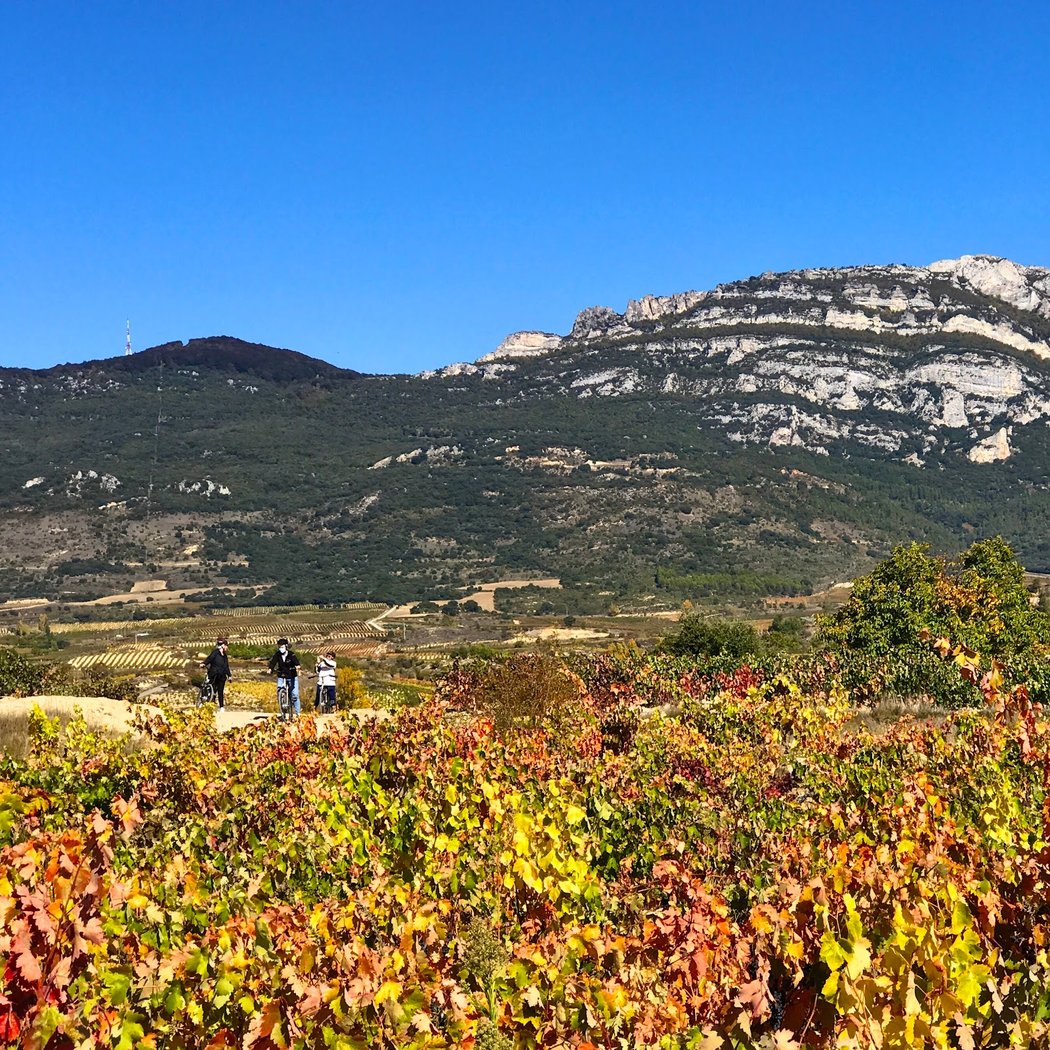 Basque Tours & Events 2