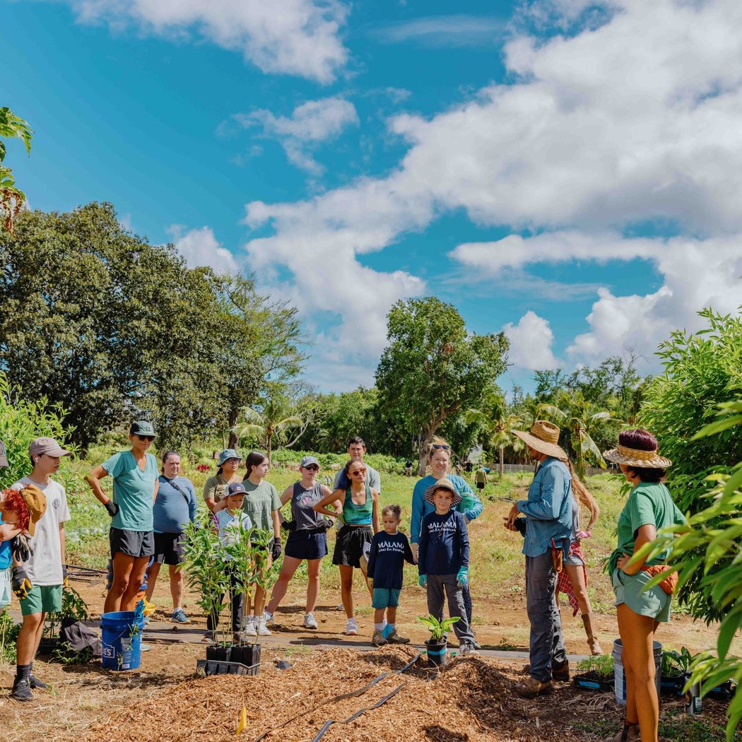 Kōkua Learning Farm Community Workday 2