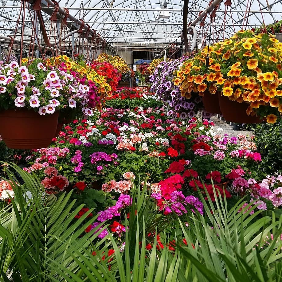 Bayport Flower Houses, Inc. 1