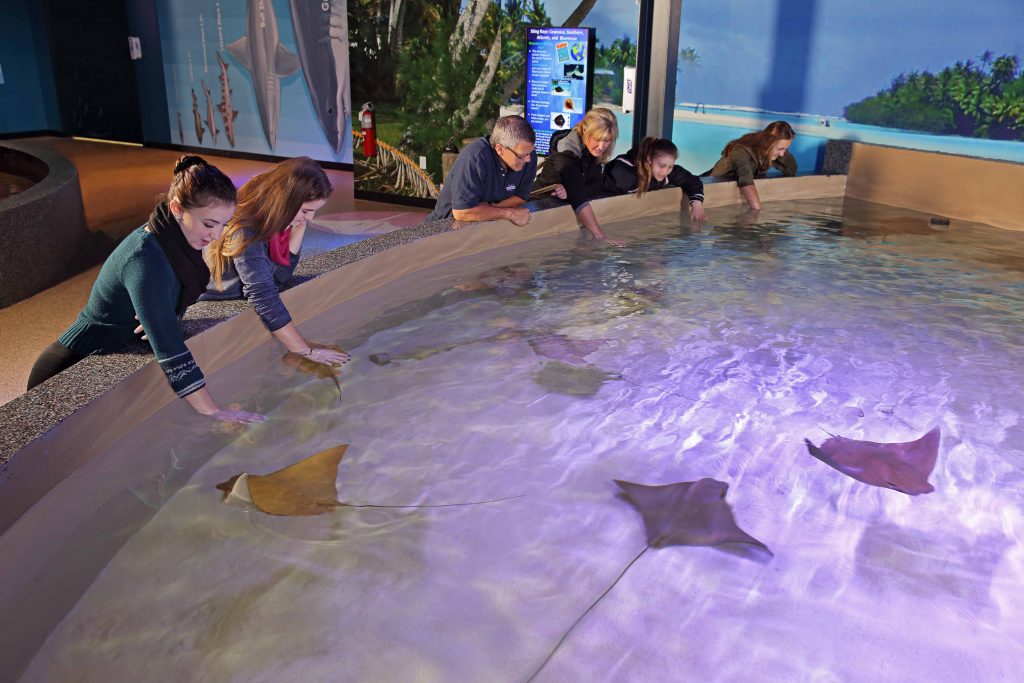 VIA Aquarium 1