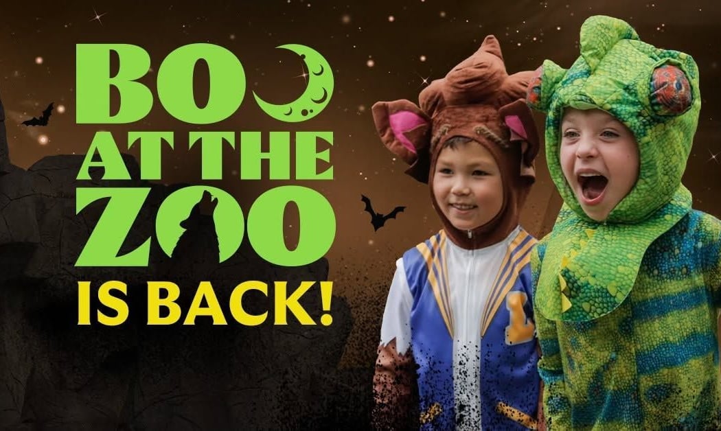 Boo at the Zoo: Sensory-Friendly Night 1