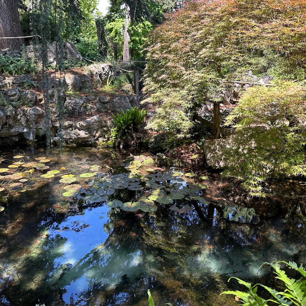Jardin botanique alpin de Meyrin 3