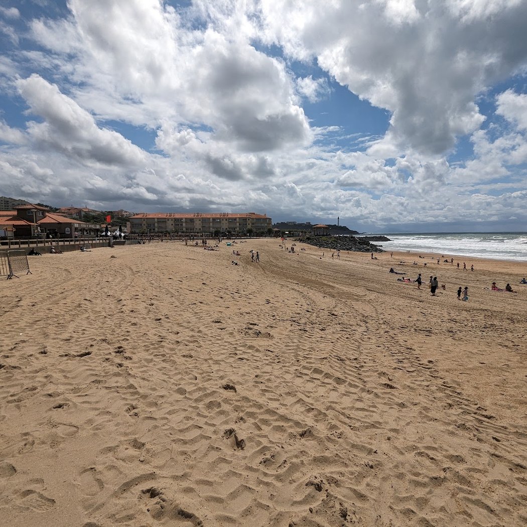 Sensibilisation et Collecte de déchets sur la plage 3