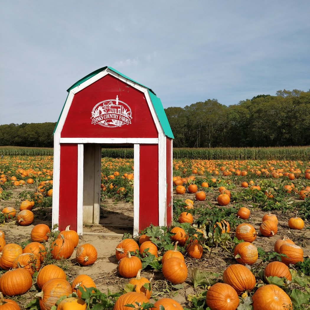 Fink's Country Farm 2