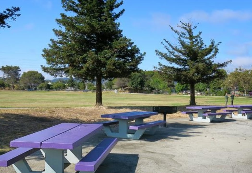 Magic Mountain Picnic Area 11 1