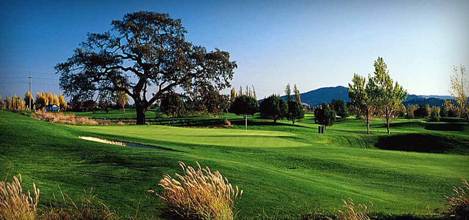 Rooster Run Golf Club 1