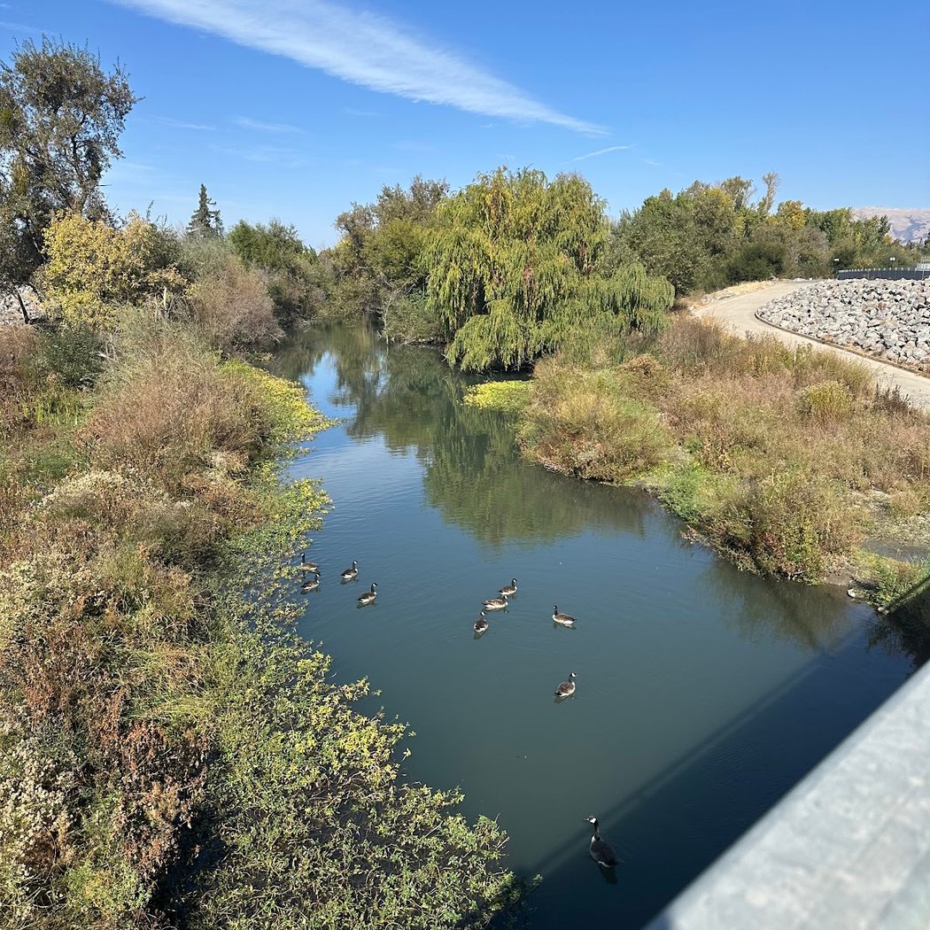 Lupe the Mammoth at Guadalupe River Trail 2