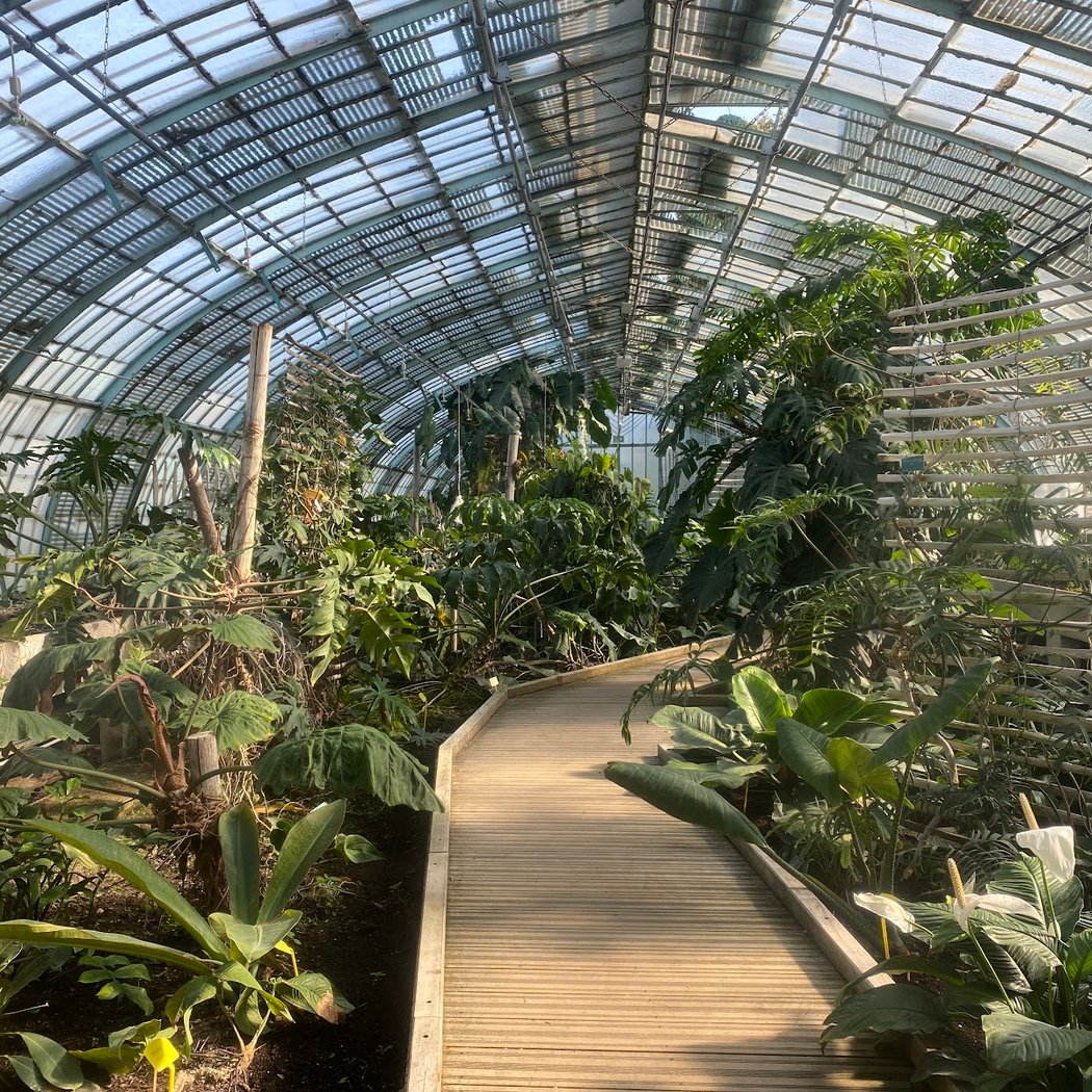 Découverte des collections botaniques exotiques sous serre 1