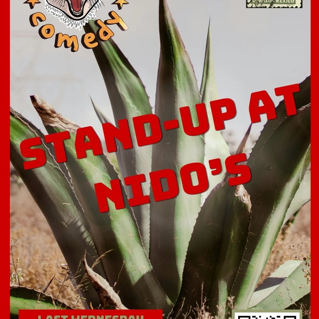 STAND UP COMEDY 1