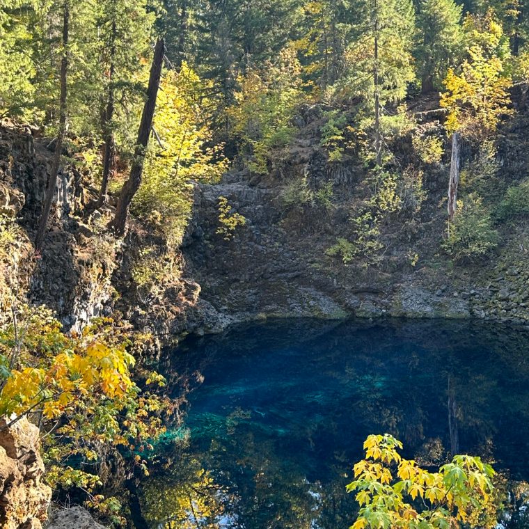McKenzie River 1