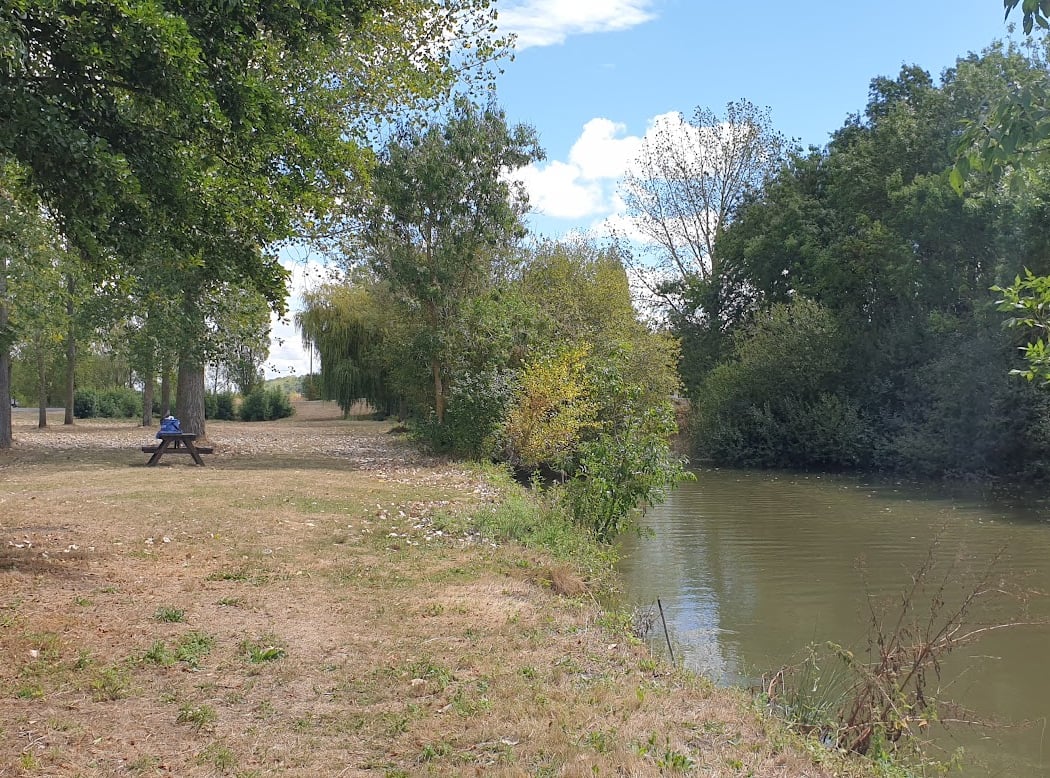 Bois des laves 2
