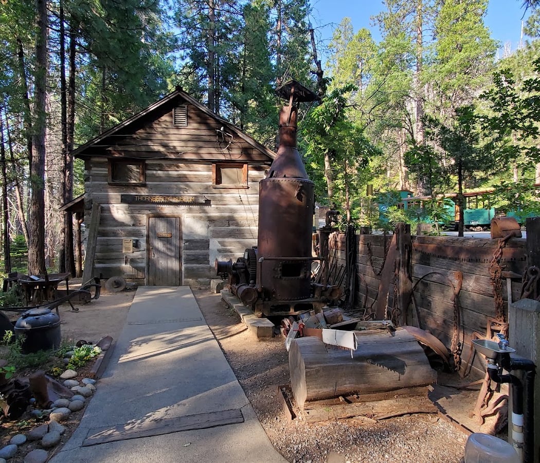 Yosemite Mountain Sugar Pine Railroad 3