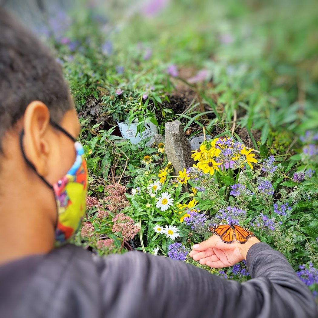 Inwood Butterfly Sanctuary 1