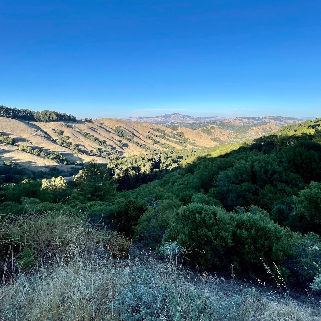 Laurel Picnic Area 2