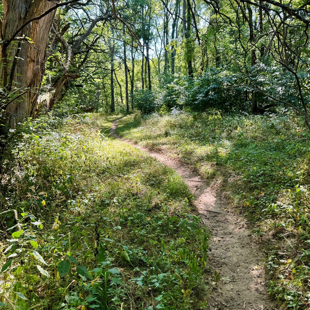Infirmary Mound Park 3