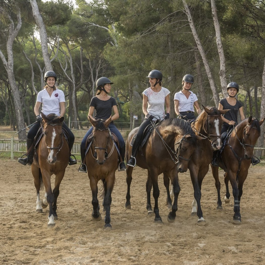 Stage d'équitation 3