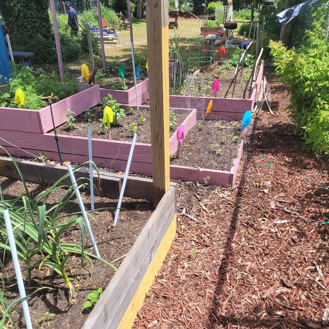 Nehemiah Ten Community Garden 3