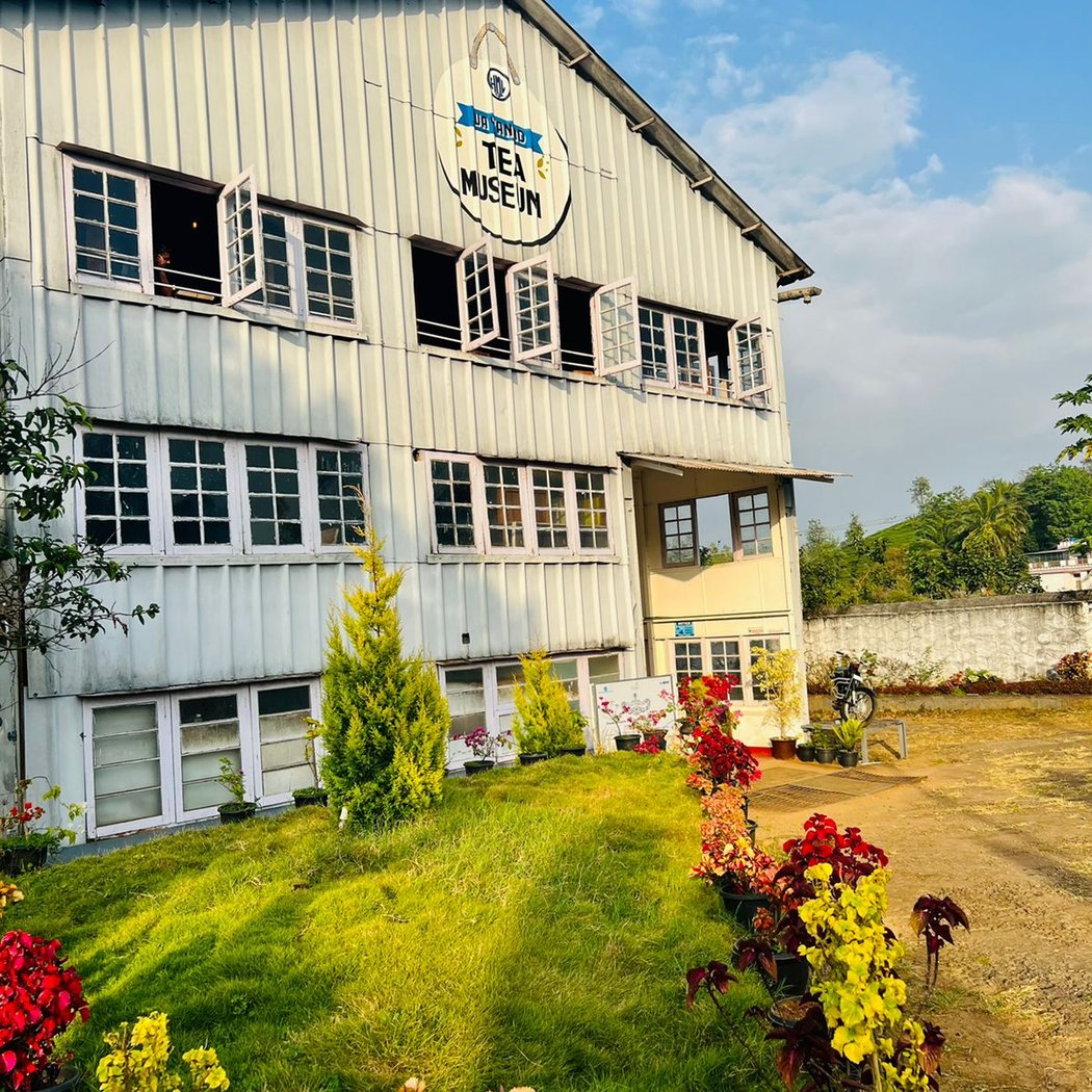 Wayanad Tea Museum 2