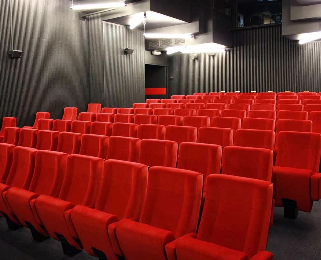 Festival des Films Kurdes de Paris 1