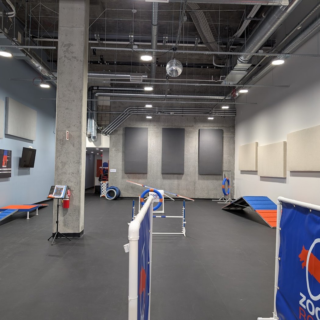 Zoom Room Dog Training 3