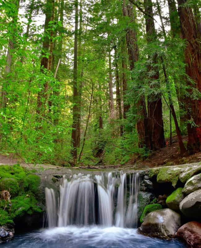 Bothe-Napa Valley State Park 1