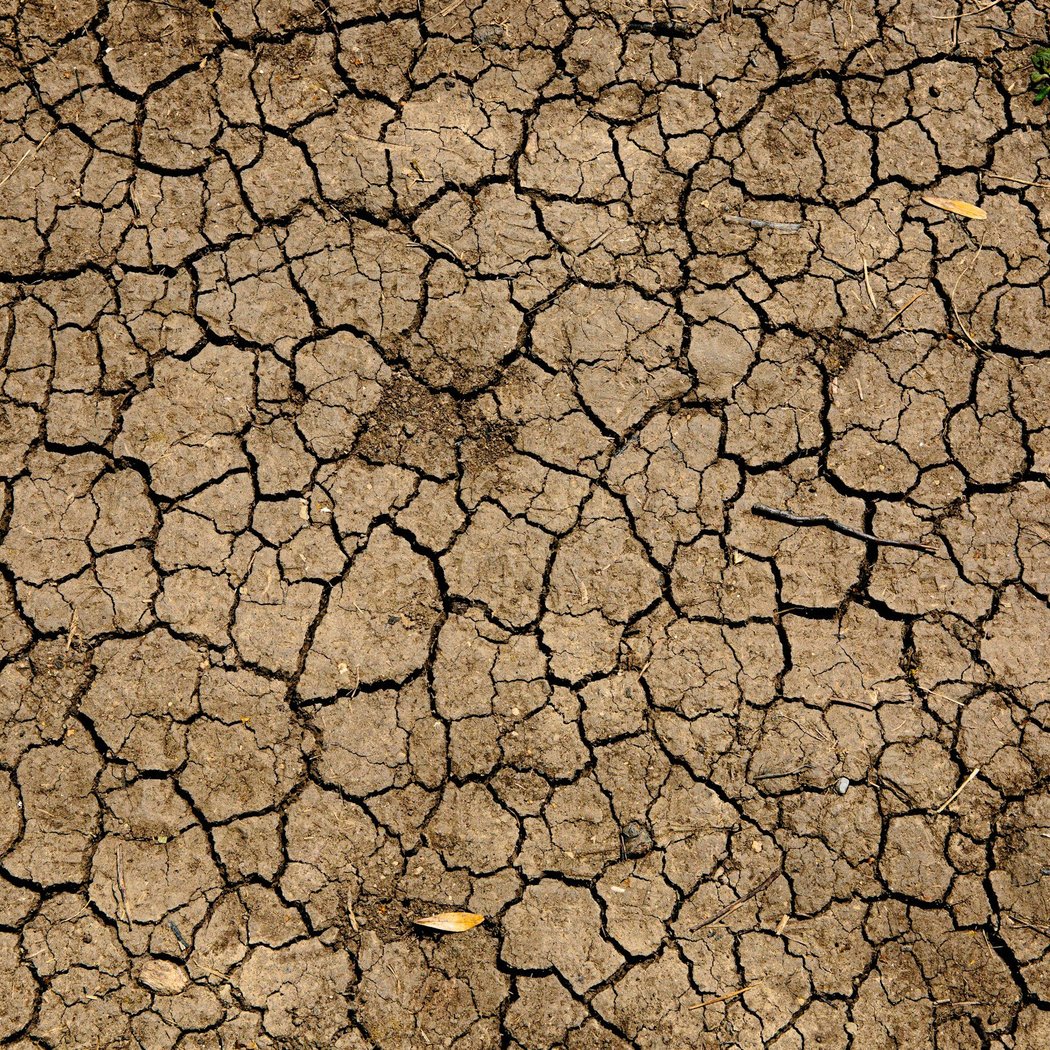 HABITATS & CLIMATE CHANGE Free Family-Friendly Event 2