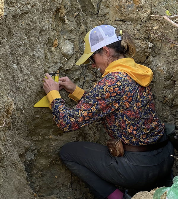 From rupture to recovery: how fault materials shaped the 2023 Mw7.6 Elbistan Türkiye earthquake surface rupture 1