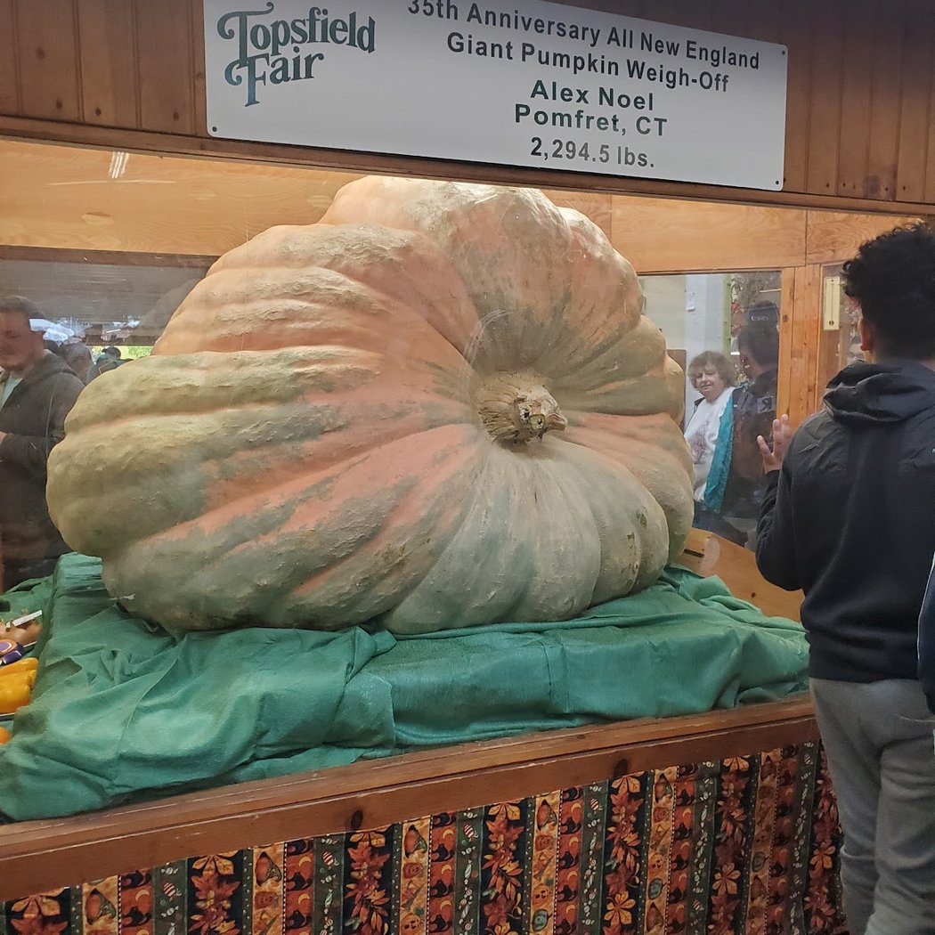 Topsfield Fair 3