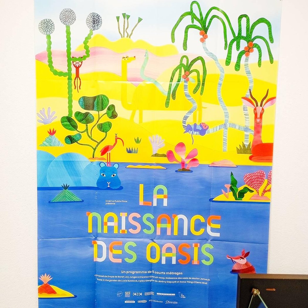 Naissance des Oasis 1
