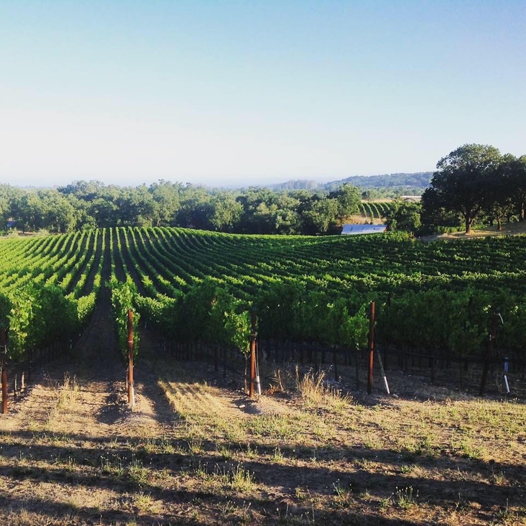 Domaine de la Rivière 2