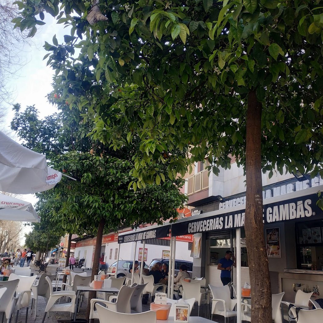 Cervecería La Mar de Gambas El Tardón 2