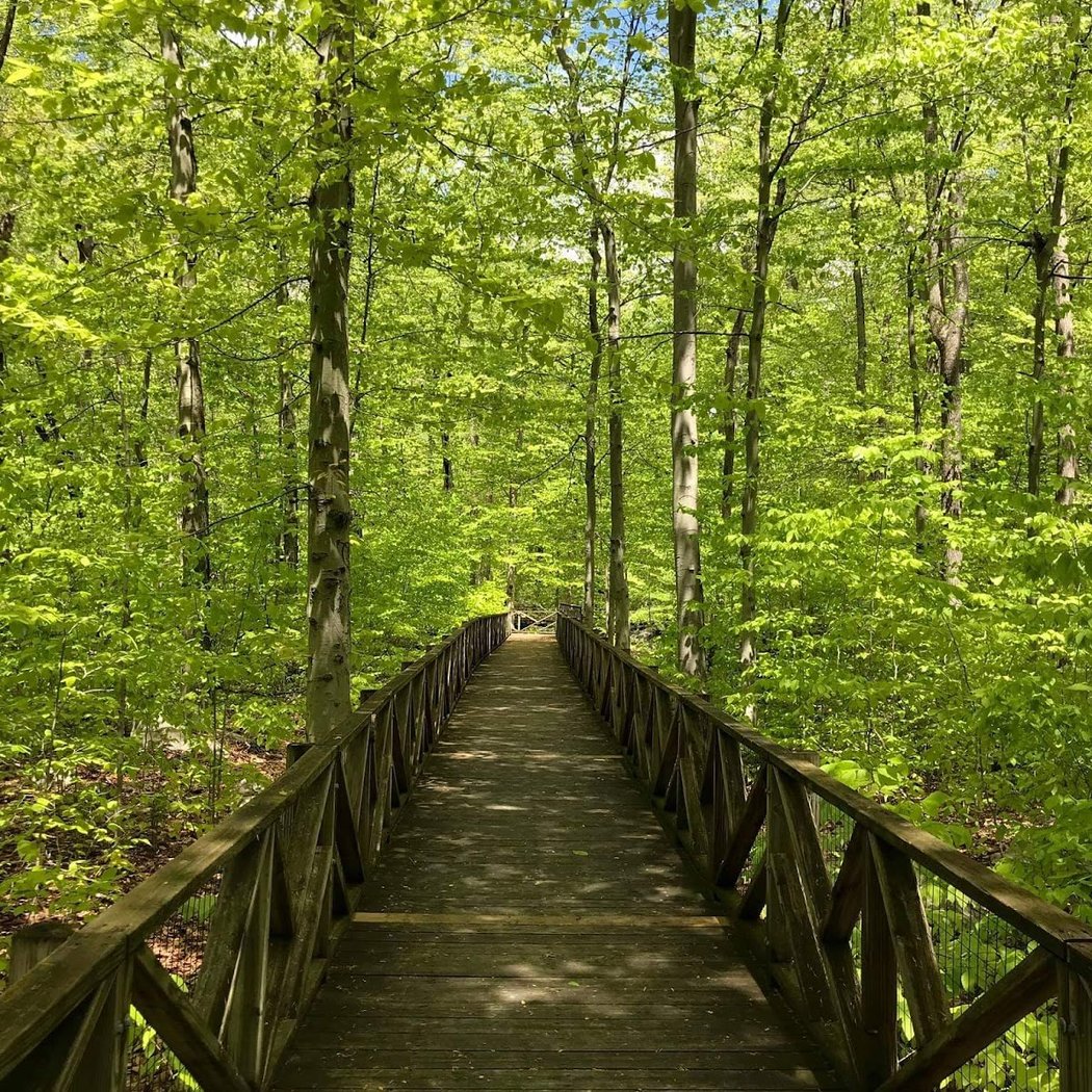 Stamford Museum & Nature Center 1