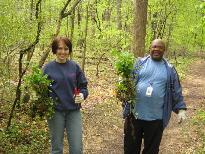 Invasive Plant Strike Force 2