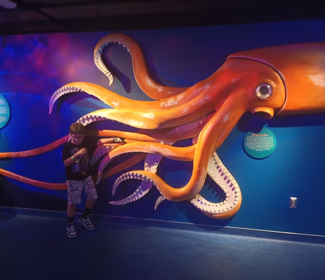 Flandrau Science Center and Planetarium 2