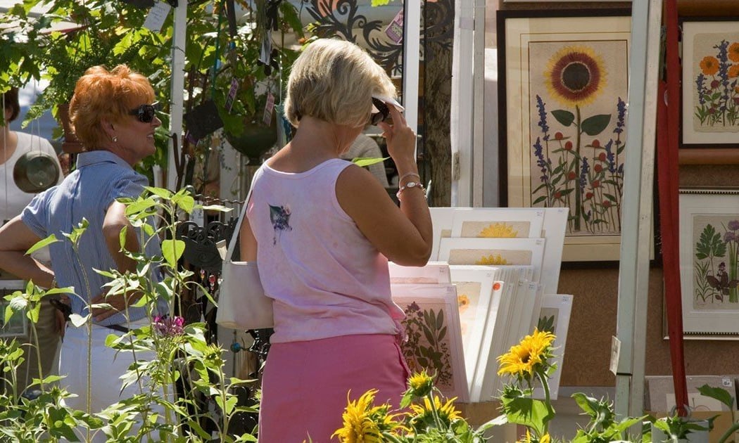 Minnehaha Falls Art Fair 2