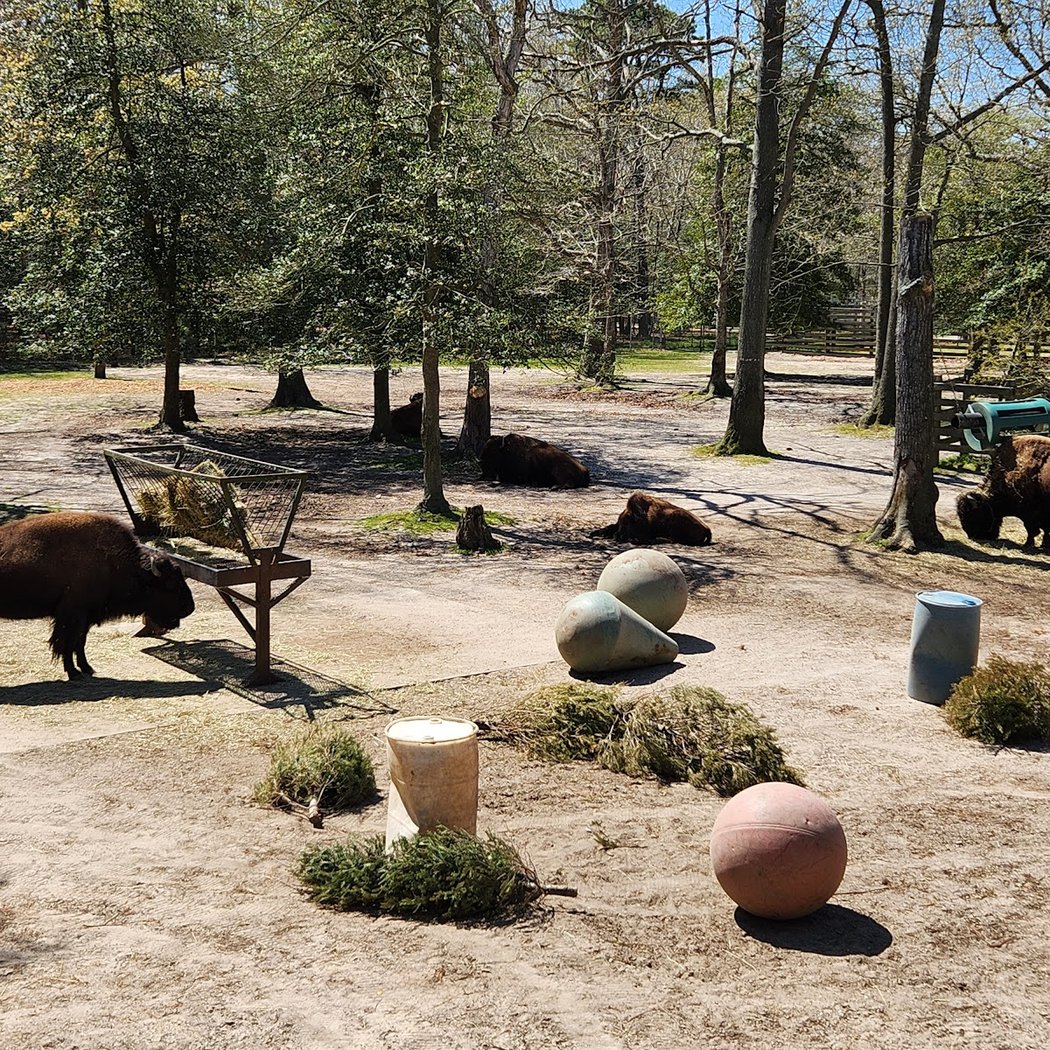 Cape May County Park & Zoo 2