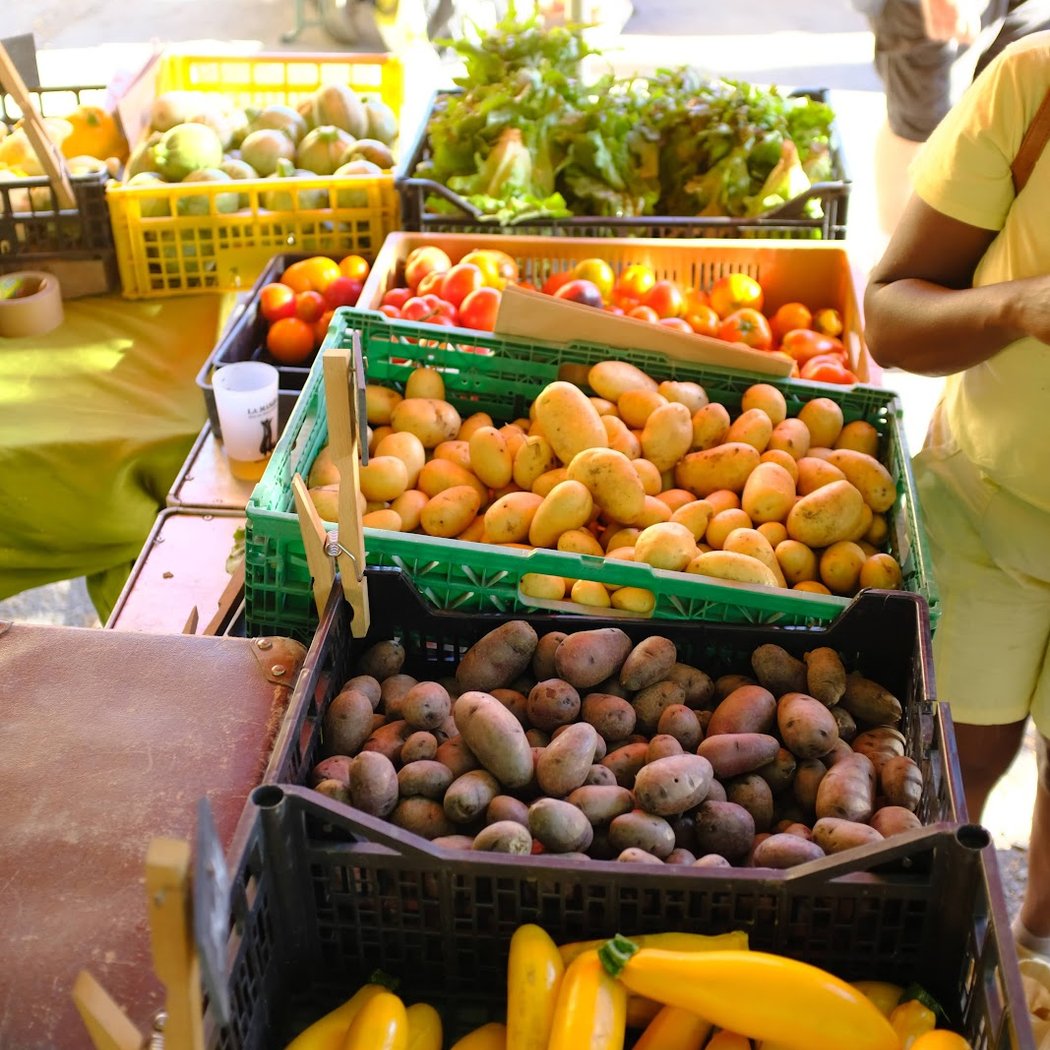 Petit marché BIO Local 1