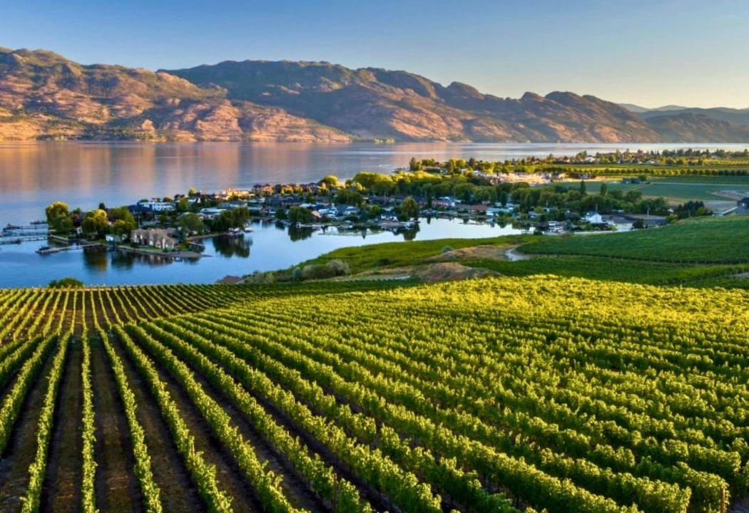 Quails' Gate Winery 1