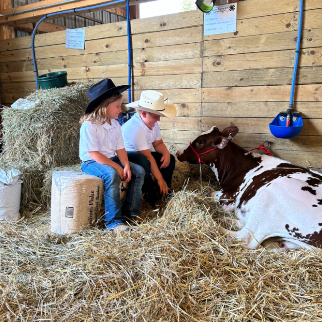 Anoka County Fairgrounds 3