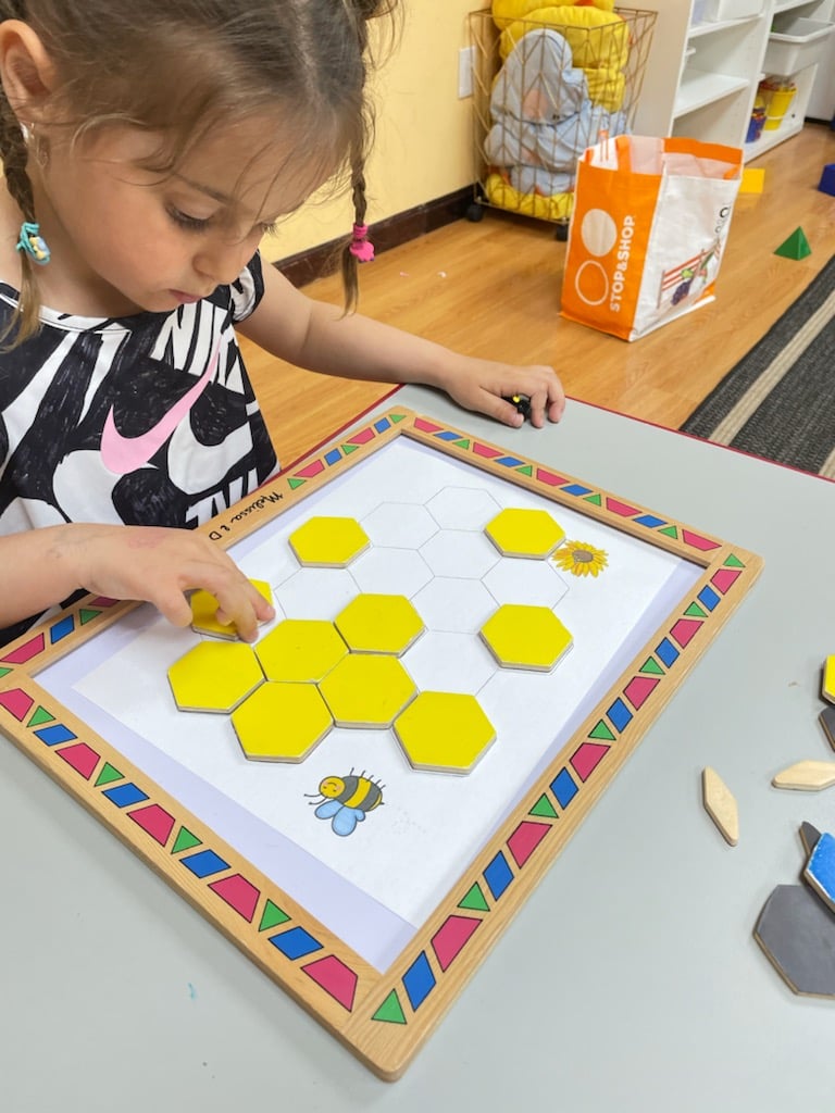 Brainy Academy Tutoring and Enrichment Services 1