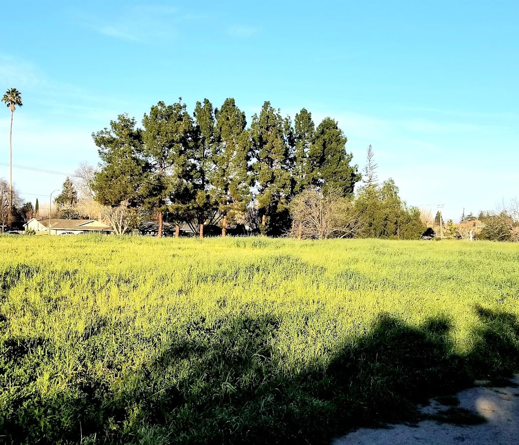 Cuesta Park Annex 3