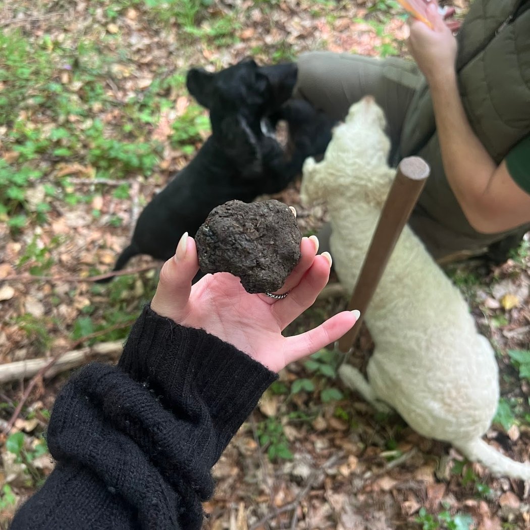 Truffle Experience Rome 1