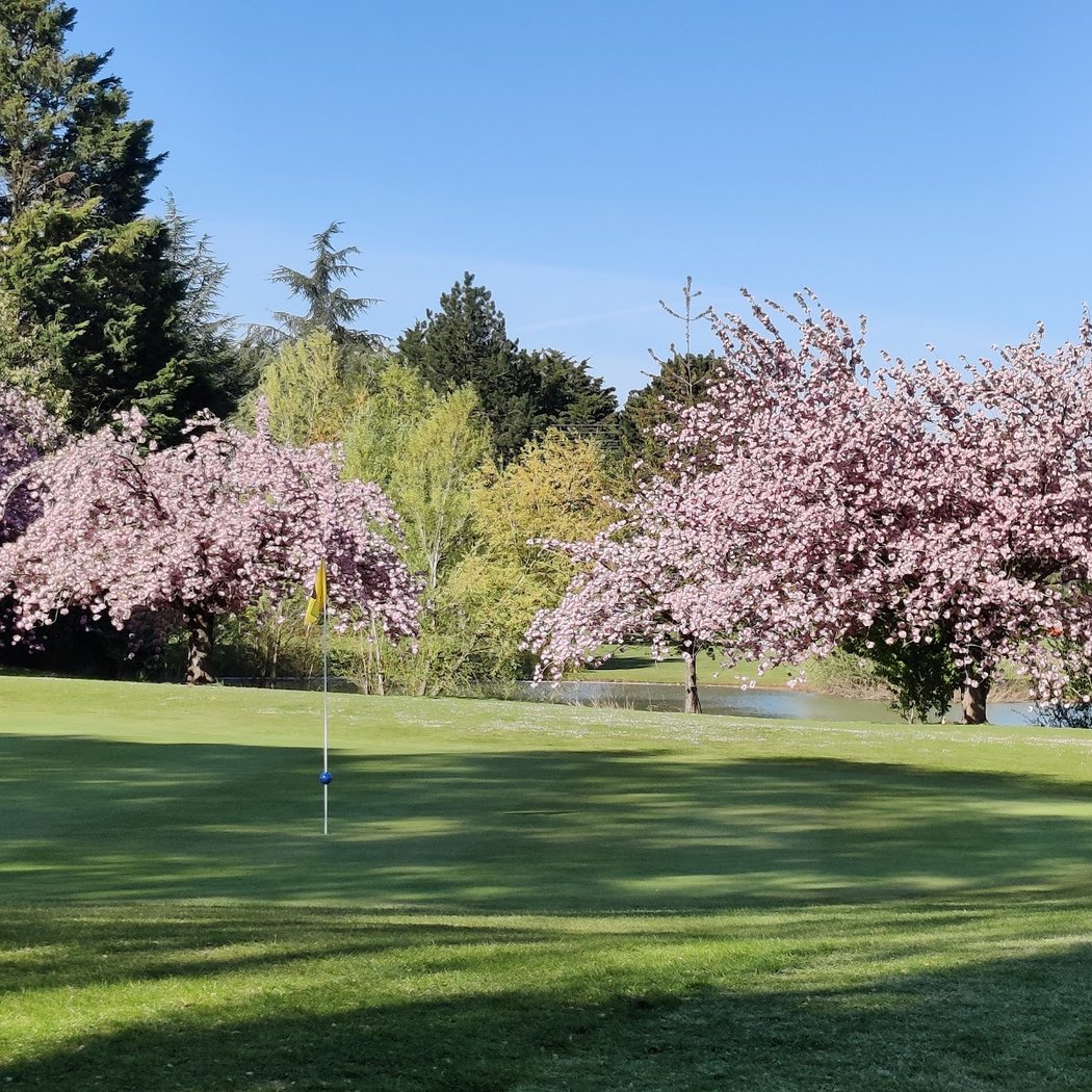 Vlogs golf de Ma - Les Golfiteurs 1