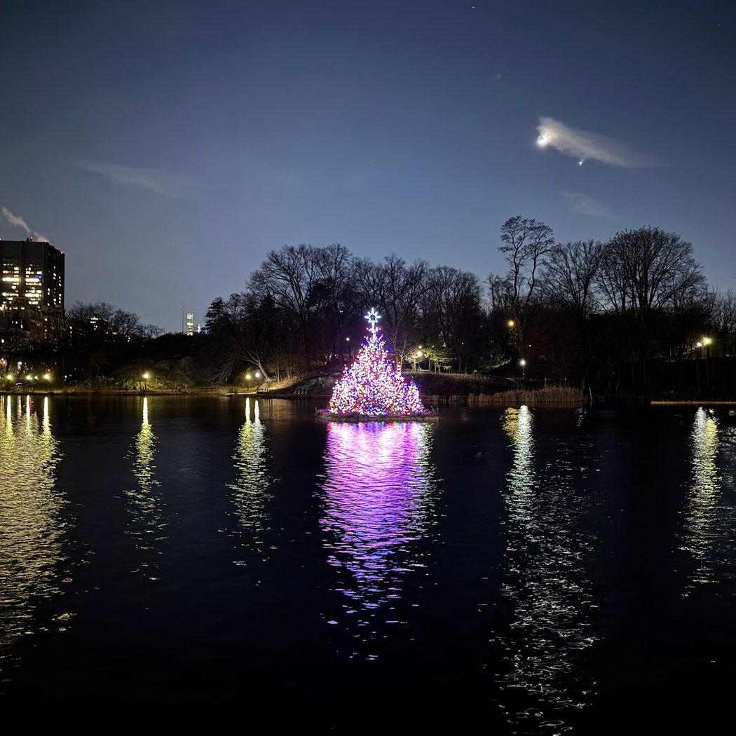 Annual Central Park Holiday Lighting 2