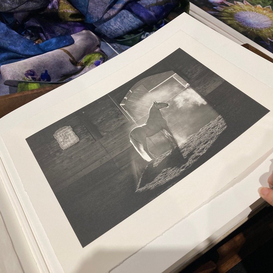 Debra Klomp Ching Portfolio Reviews: Theory into Practice, Part 2 1
