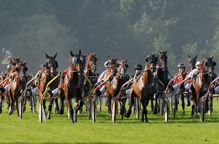 Course de trot 1