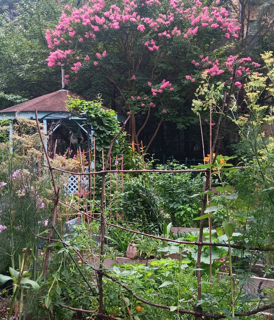 West 104th Street Garden 3
