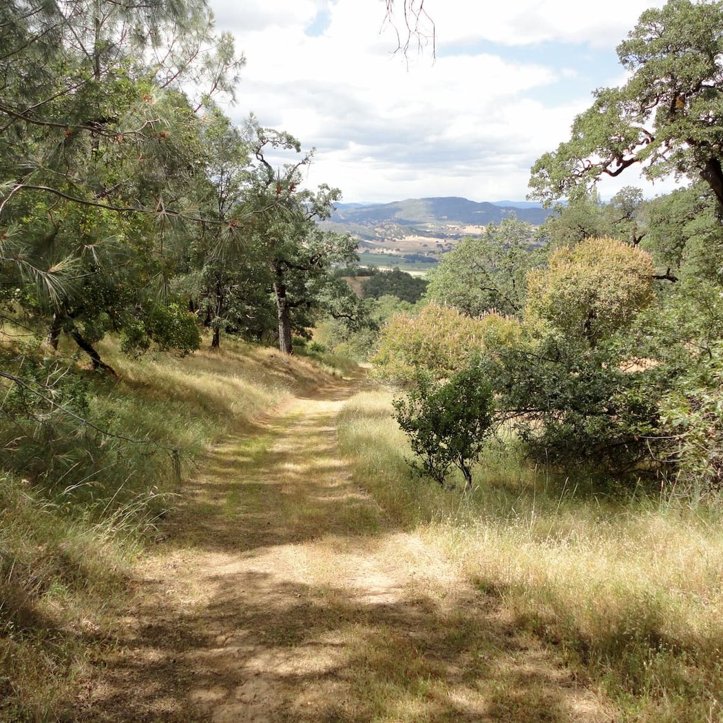 Wantrup Preserve Birding 2