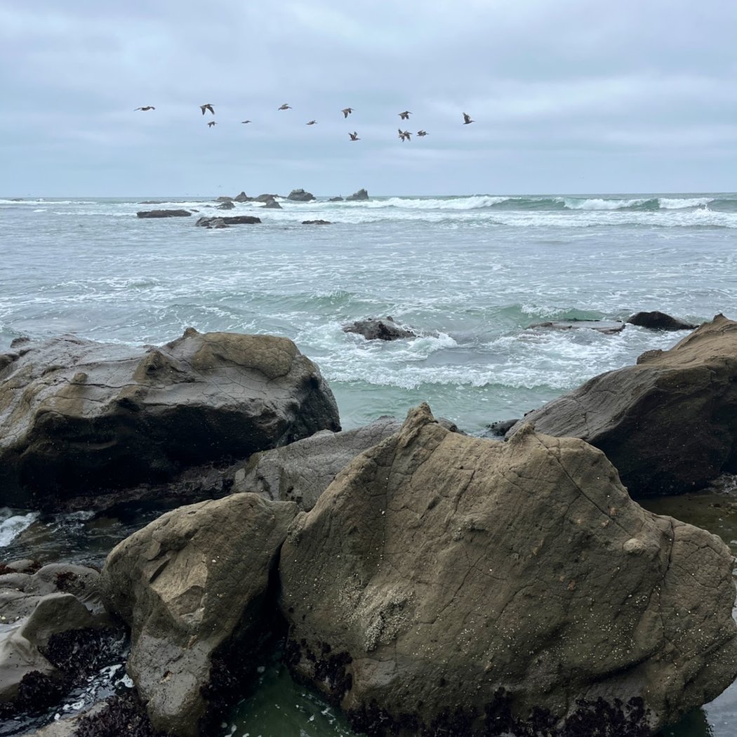 Pillar Point 3