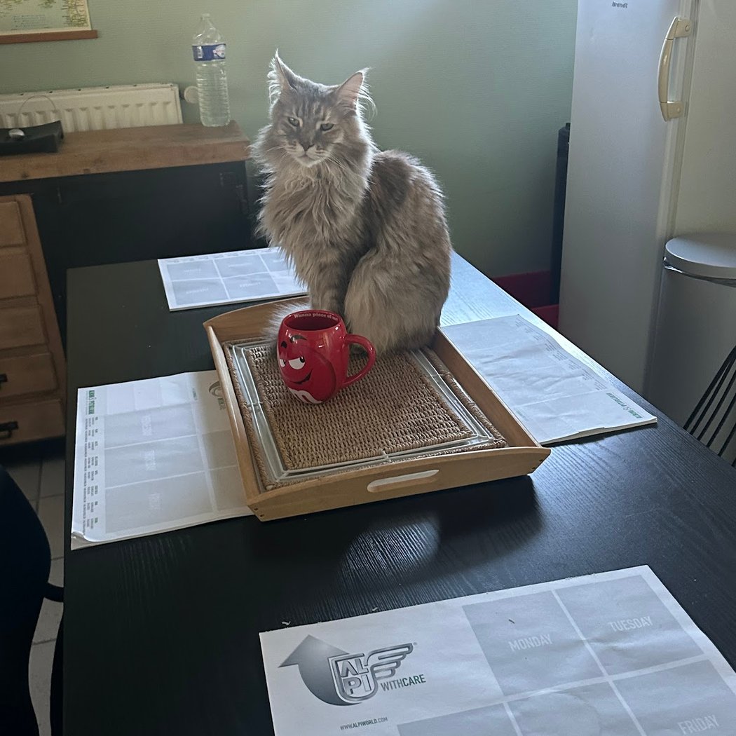 Dogs, Cats And Company 3